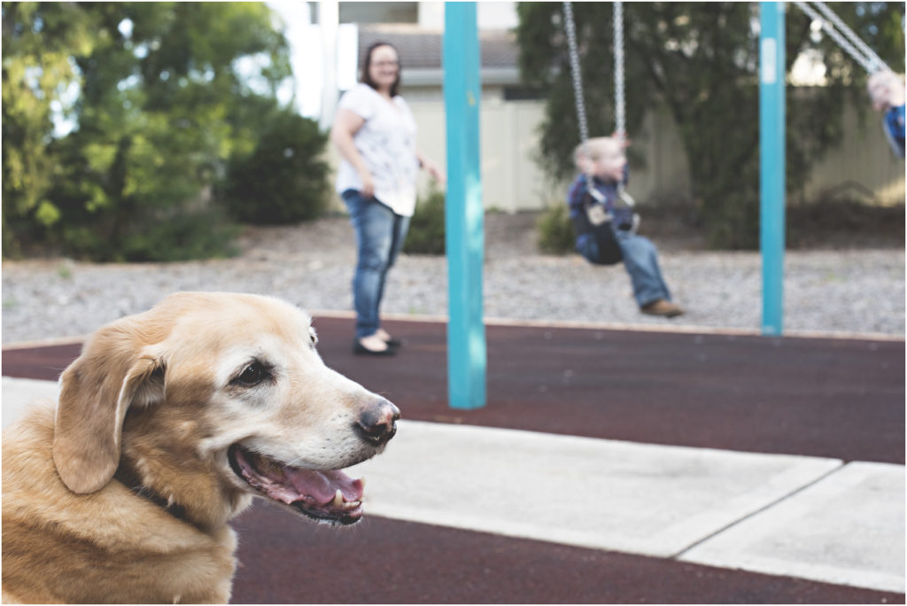 Camden Family Photography, Angie Duncan Photography, www.angieduncan.com.au